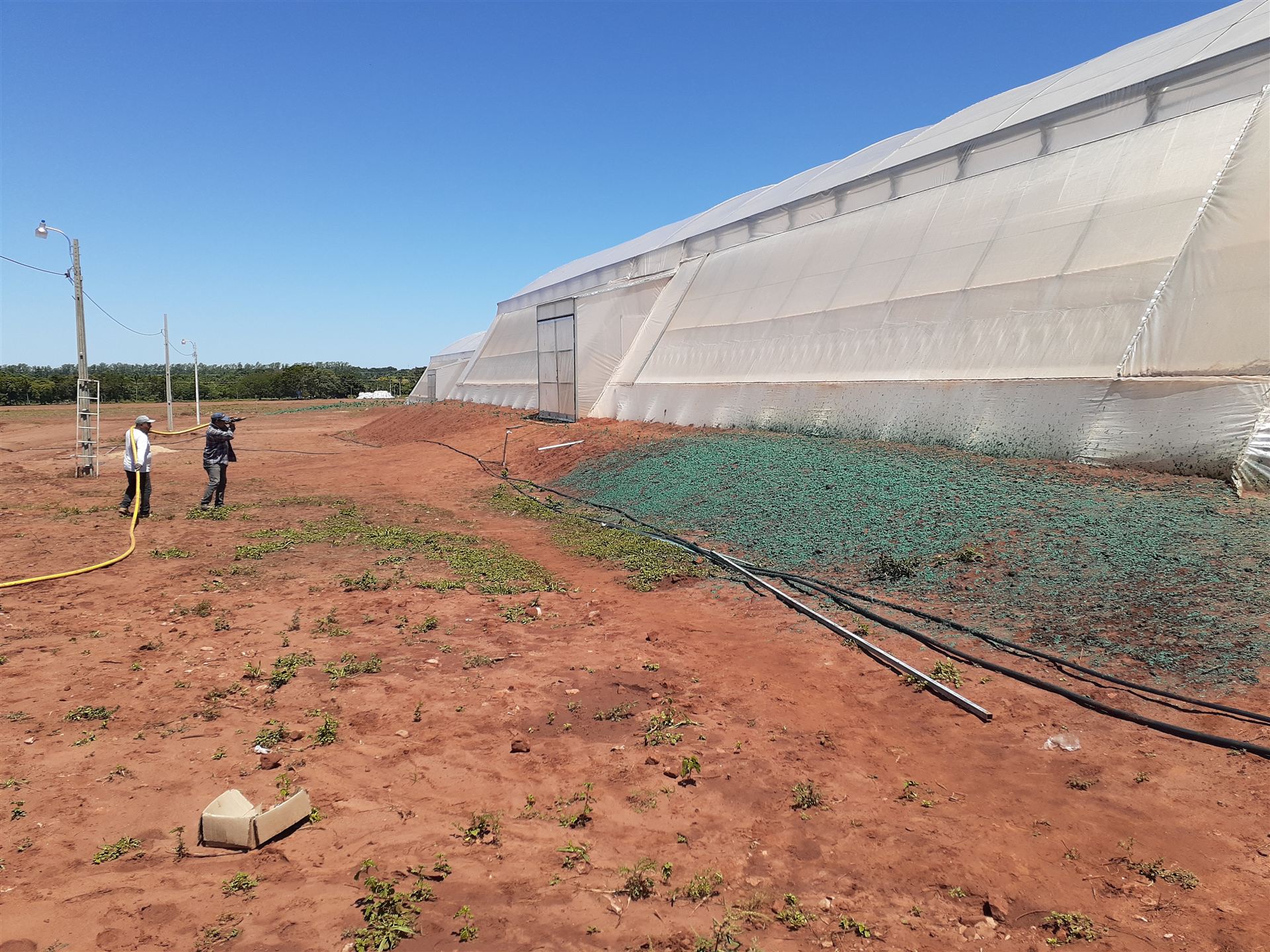 Geomembranas