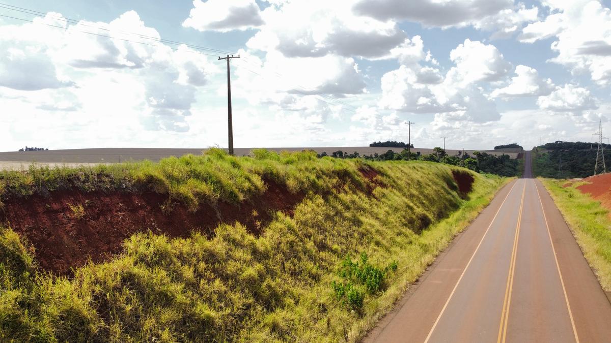 El talud revegetado junto a la ruta pavimentada
