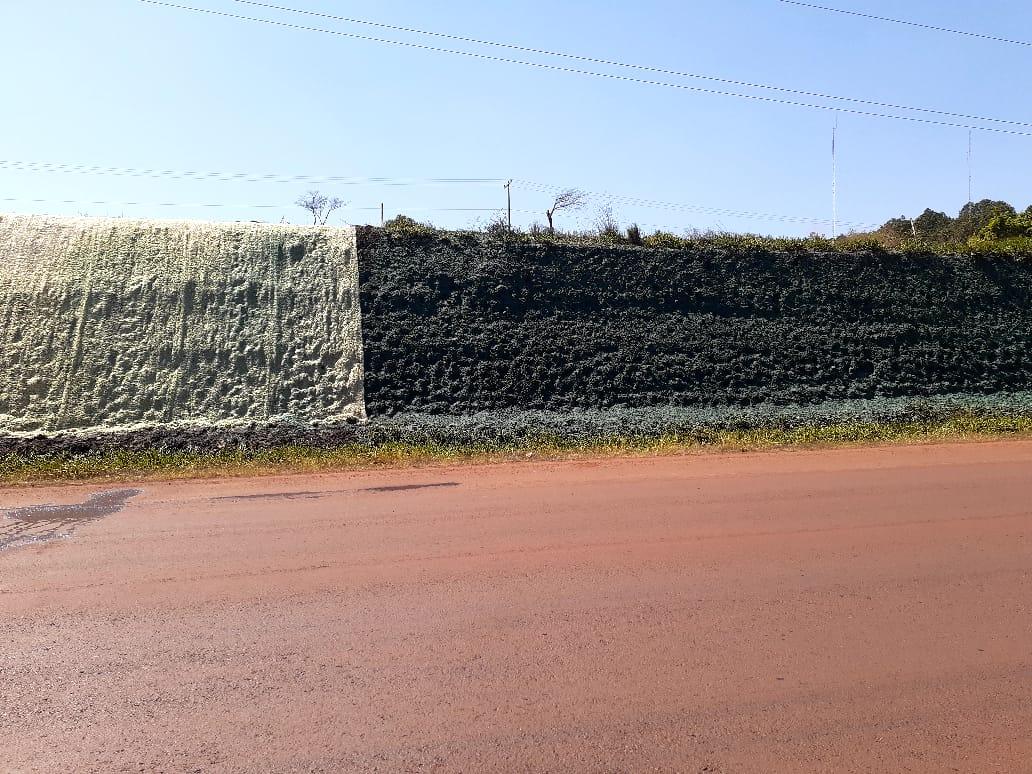 El límite entre el tramo tratado y el suelo desnudo