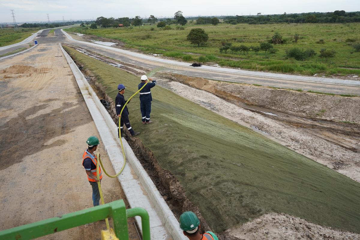El terraplén tratado con el viaducto al fondo