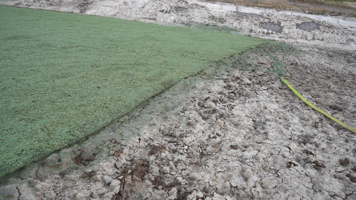 La franja de hidromanto sobre el talud del terraplén