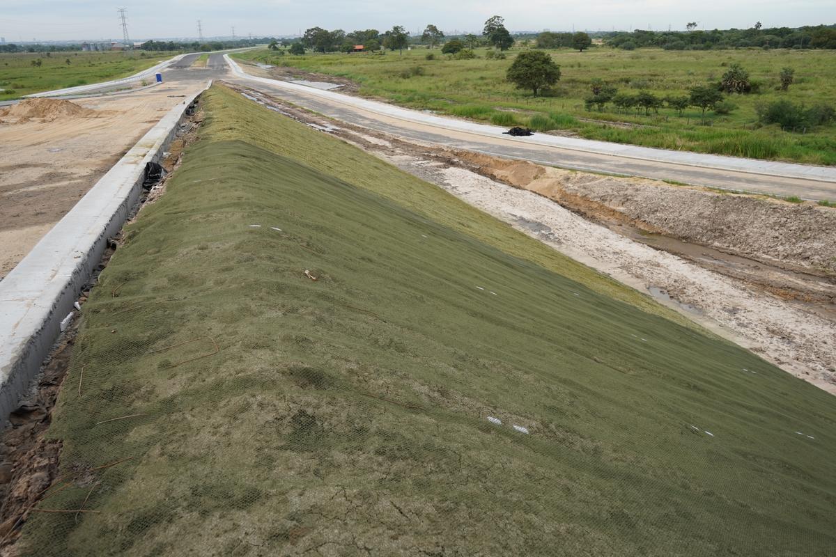 El terraplén tratado a lo largo del viaducto