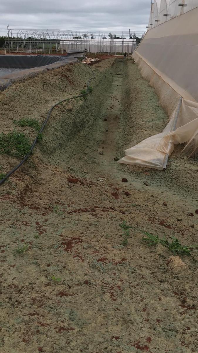 El canal de desagüe tratado entre las naves