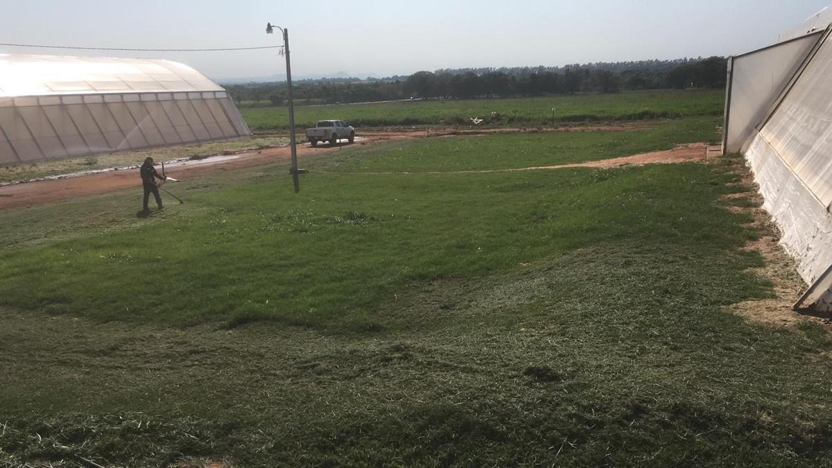 El canal verde establecido entre los invernaderos