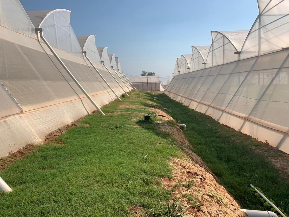 El canal terminado con la vegetación establecida