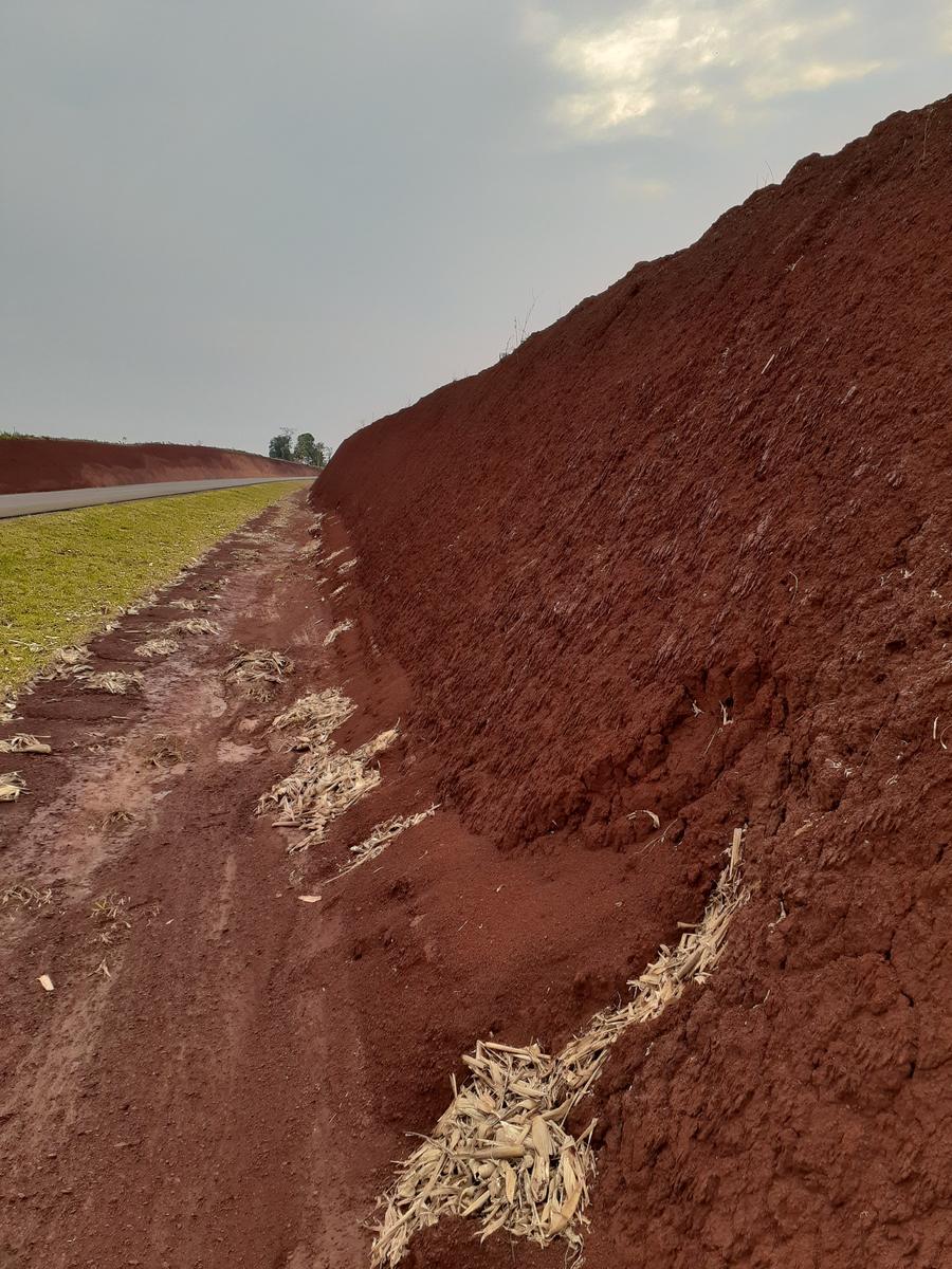 El talud de suelo rojo recién conformado, antes de tratar