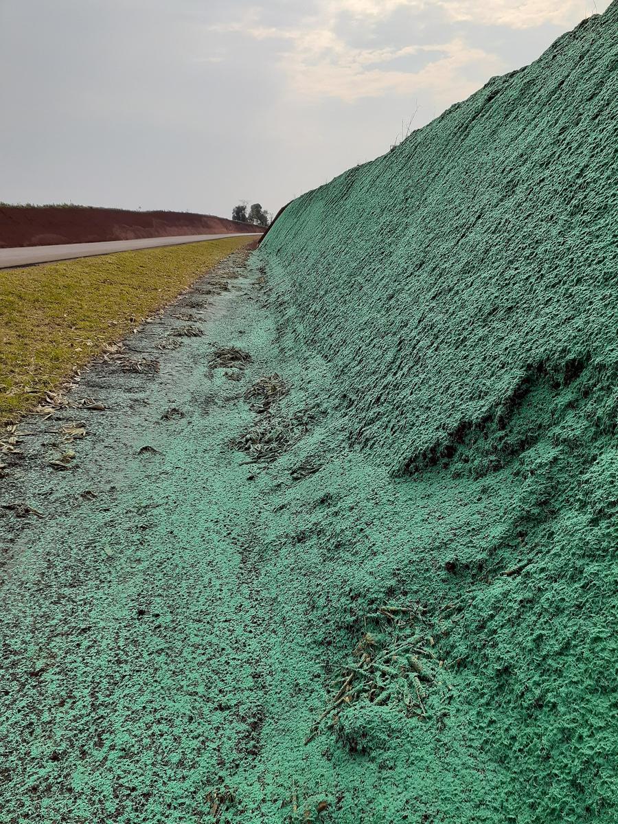 El hidromanto verde aplicado: el contraste rojo y verde