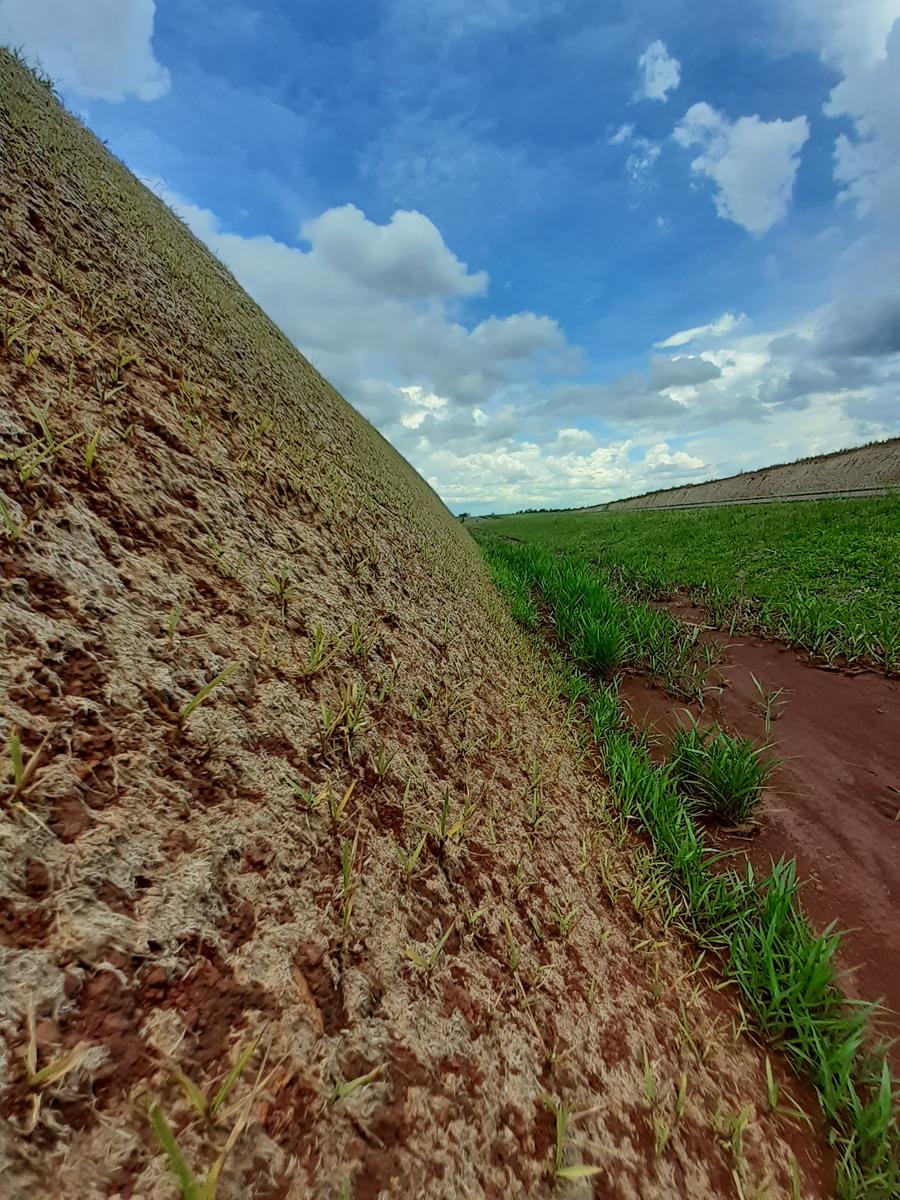 El terraplén completamente verde, con el campo al fondo