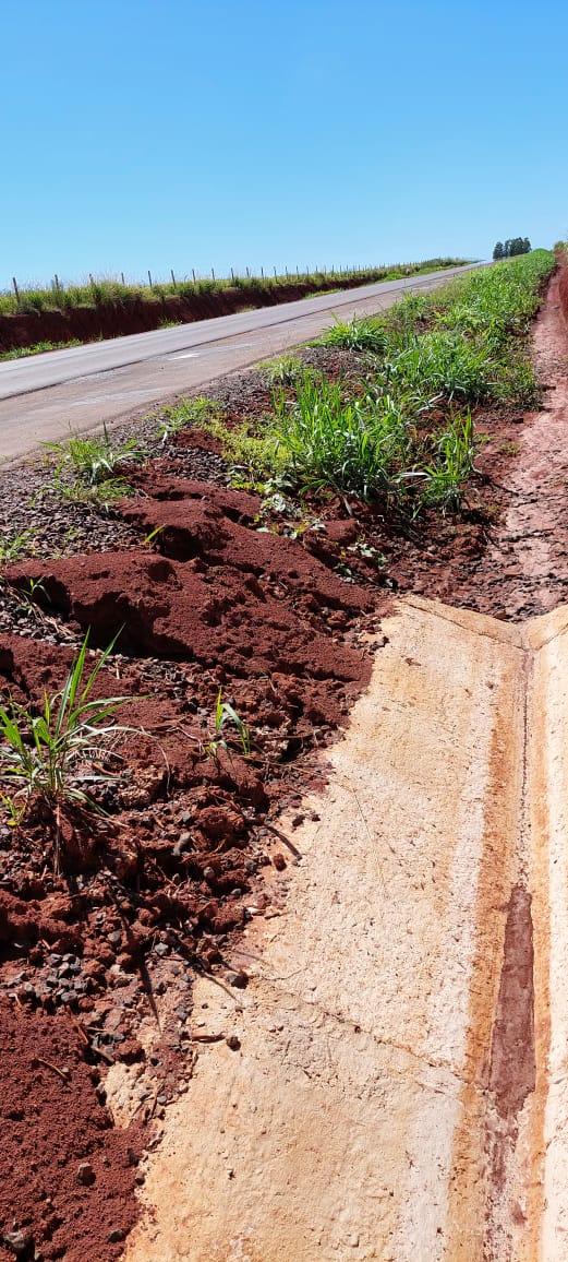 El canal de desagüe con el talud revegetado
