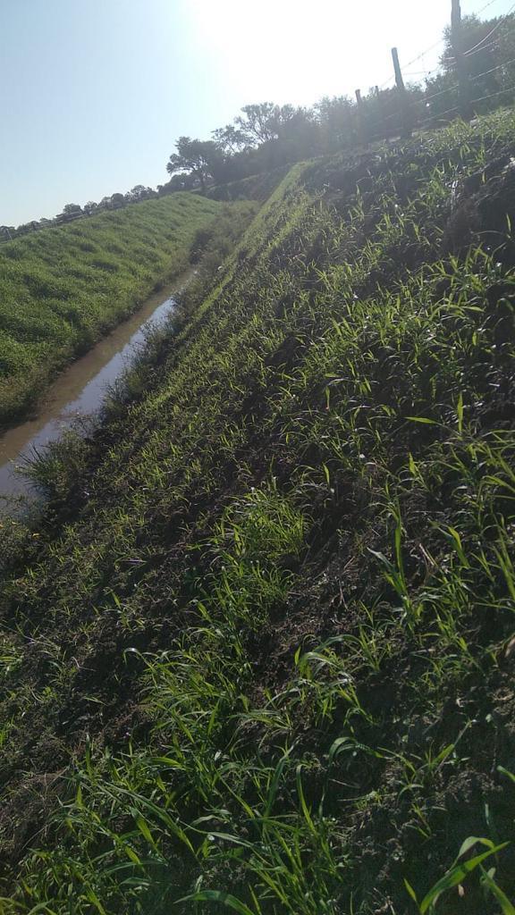 El canal revegetado con el agua corriendo