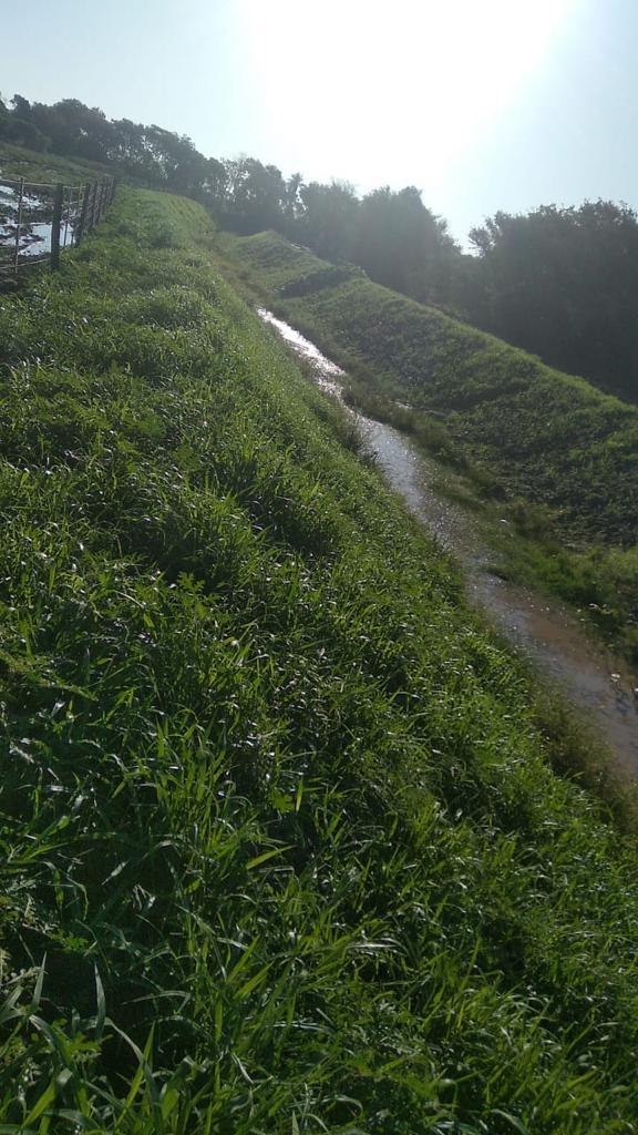 El canal verde en perspectiva, con el monte al fondo