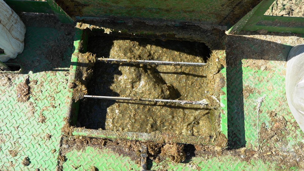 El tanque de la hidrosembradora con la mezcla