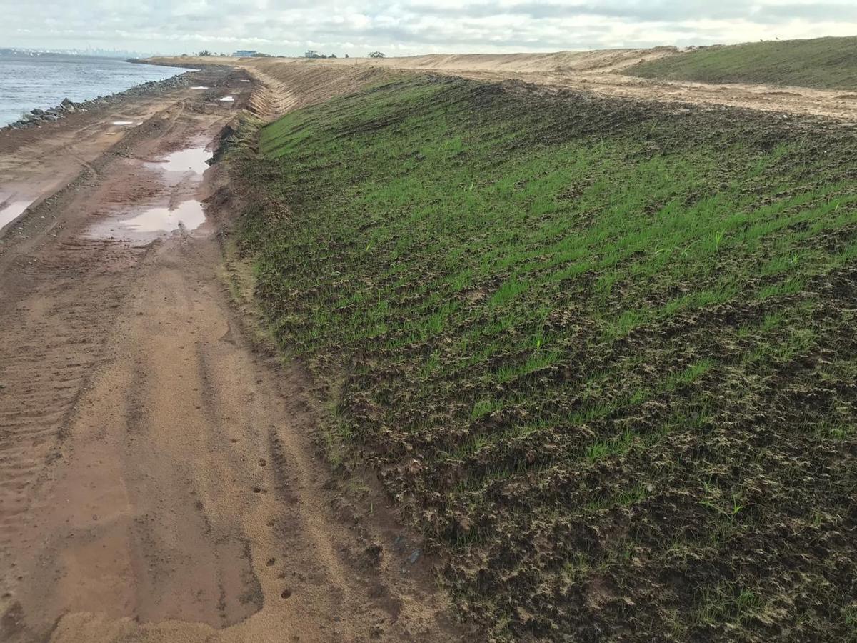 El talud verde establecido junto a la laguna